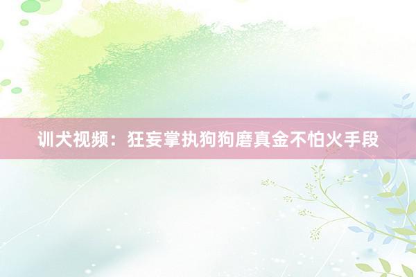 训犬视频：狂妄掌执狗狗磨真金不怕火手段